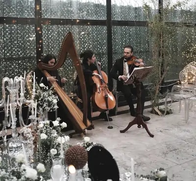 Wedding music team